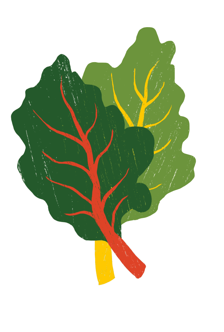 digital drawing of kale.